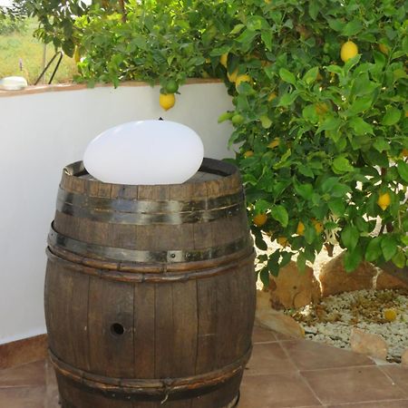 B&B Finca La Manchica Cartagena Kültér fotó